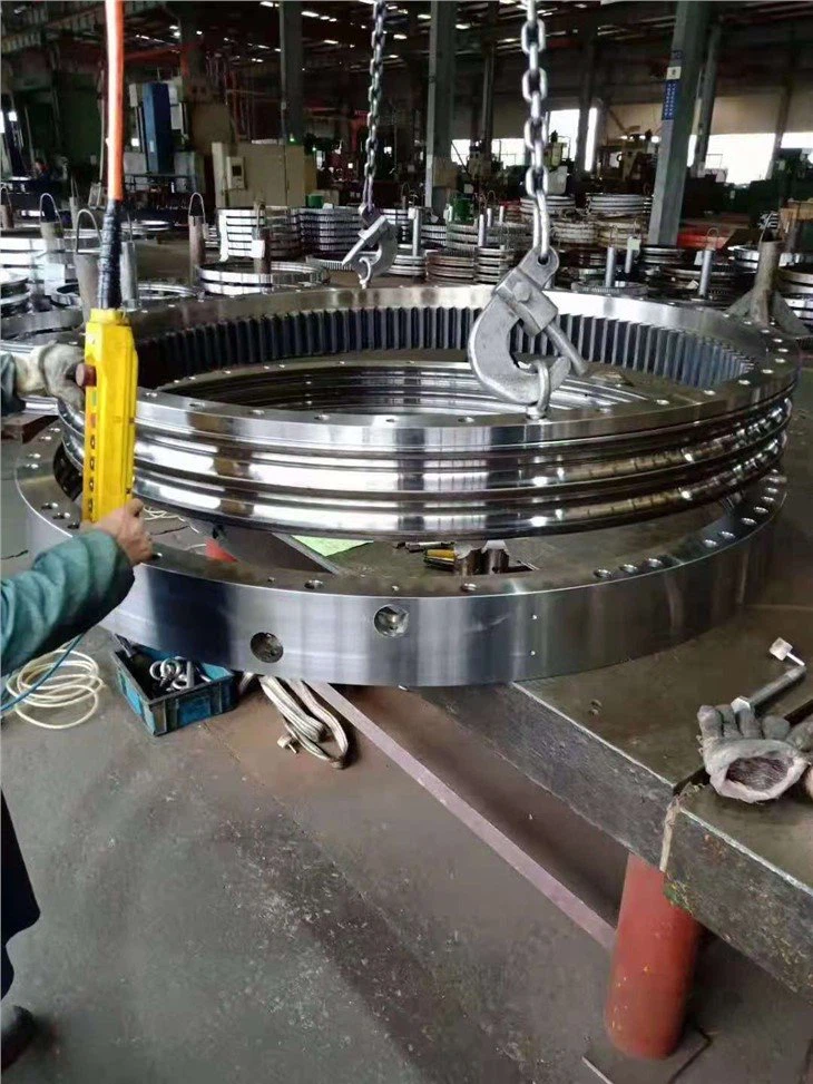 Slewing Bearing