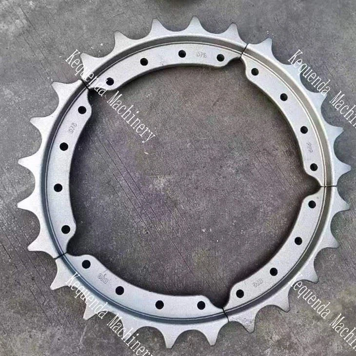 Segment D7g